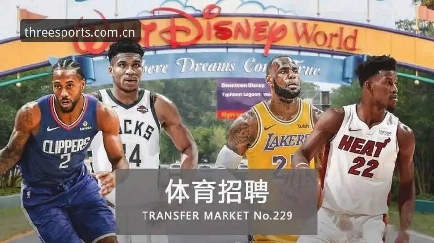 如何通过三亿体育网址入口更新日志掌握平台最新功能更新？