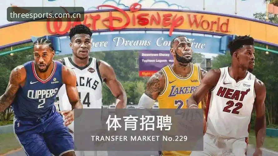 三亿体育平台网页端更新实用指南：数据加载快了多少？答案在这里